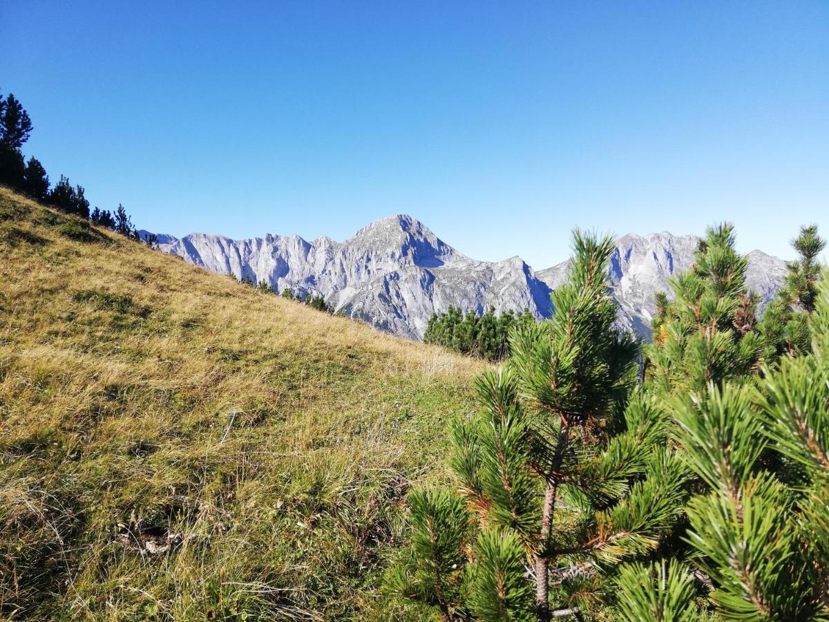 Ferienhaus Sonnberg Hüttau Exteriér fotografie